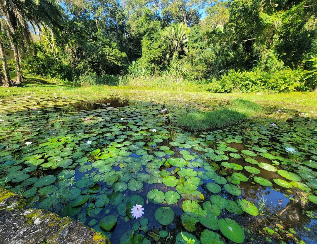 Lancetilla Botanical Garden